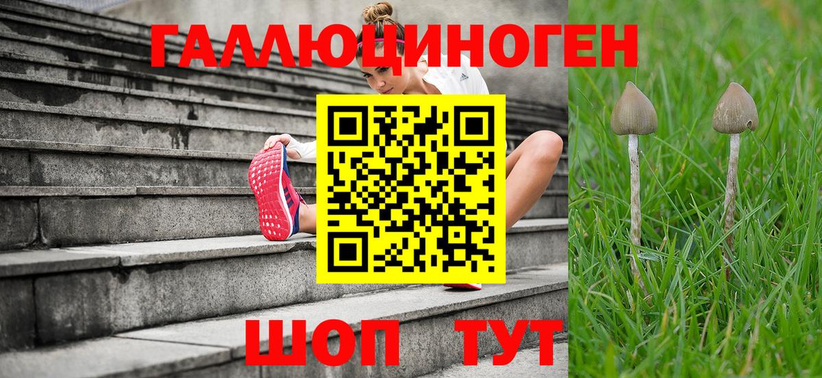Псилоцибиновые грибы прущие грибы  Вход с VPN  Орск 