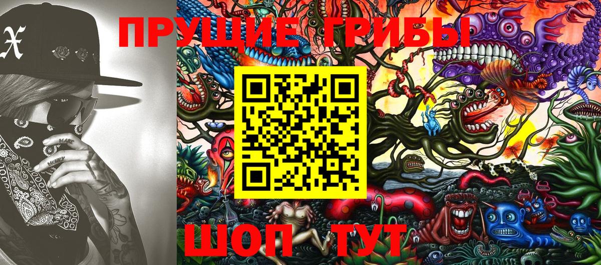 Галлюциногенные грибы Psilocybe Орск